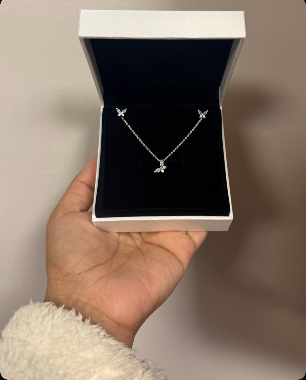 Amor en Vuelo Set