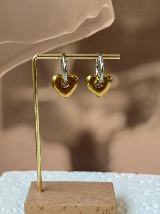 Locked Heart Earrings