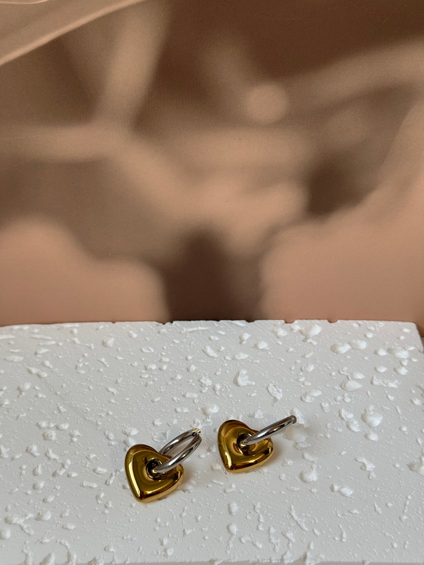 Locked Heart Earrings